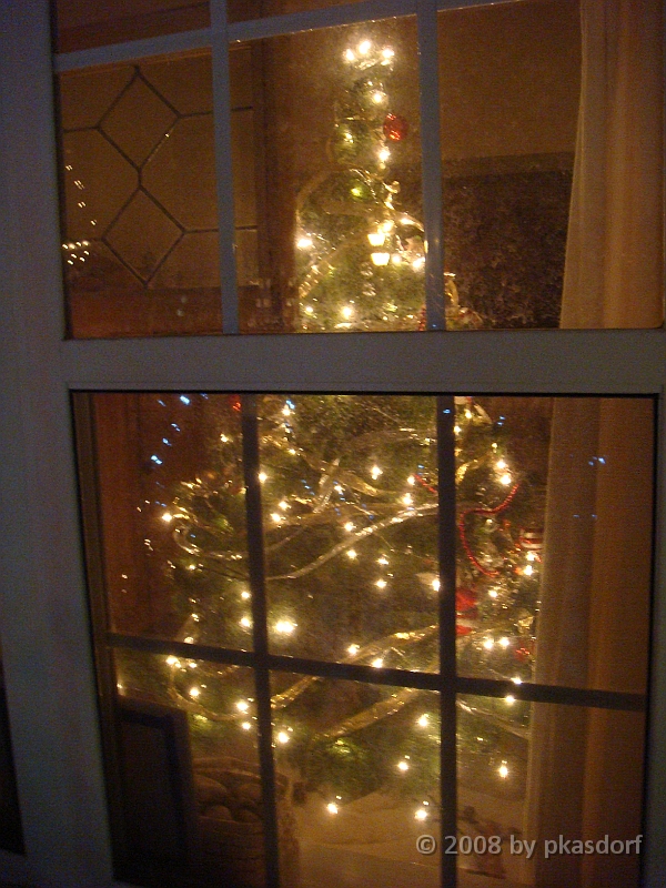 032 A2 Snowfall & Trees [2008 Dec 20].JPG - Our Christmas Trees for 2008.
